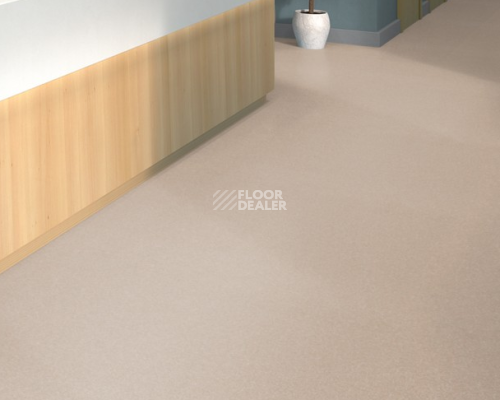 Tarkett iq Melodia 2613 фото 2 | FLOORDEALER